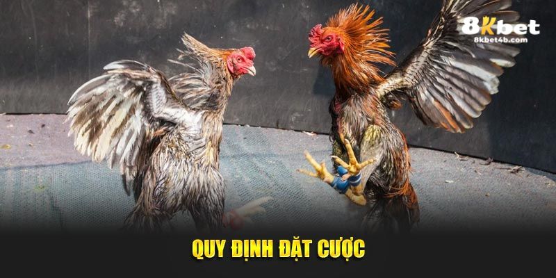 Quy định đặt cược