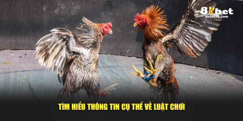 Tìm hiểu thông tin cụ thể về luật chơi