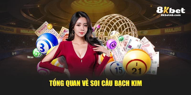 Tổng quan về soi cầu Bạch Kim